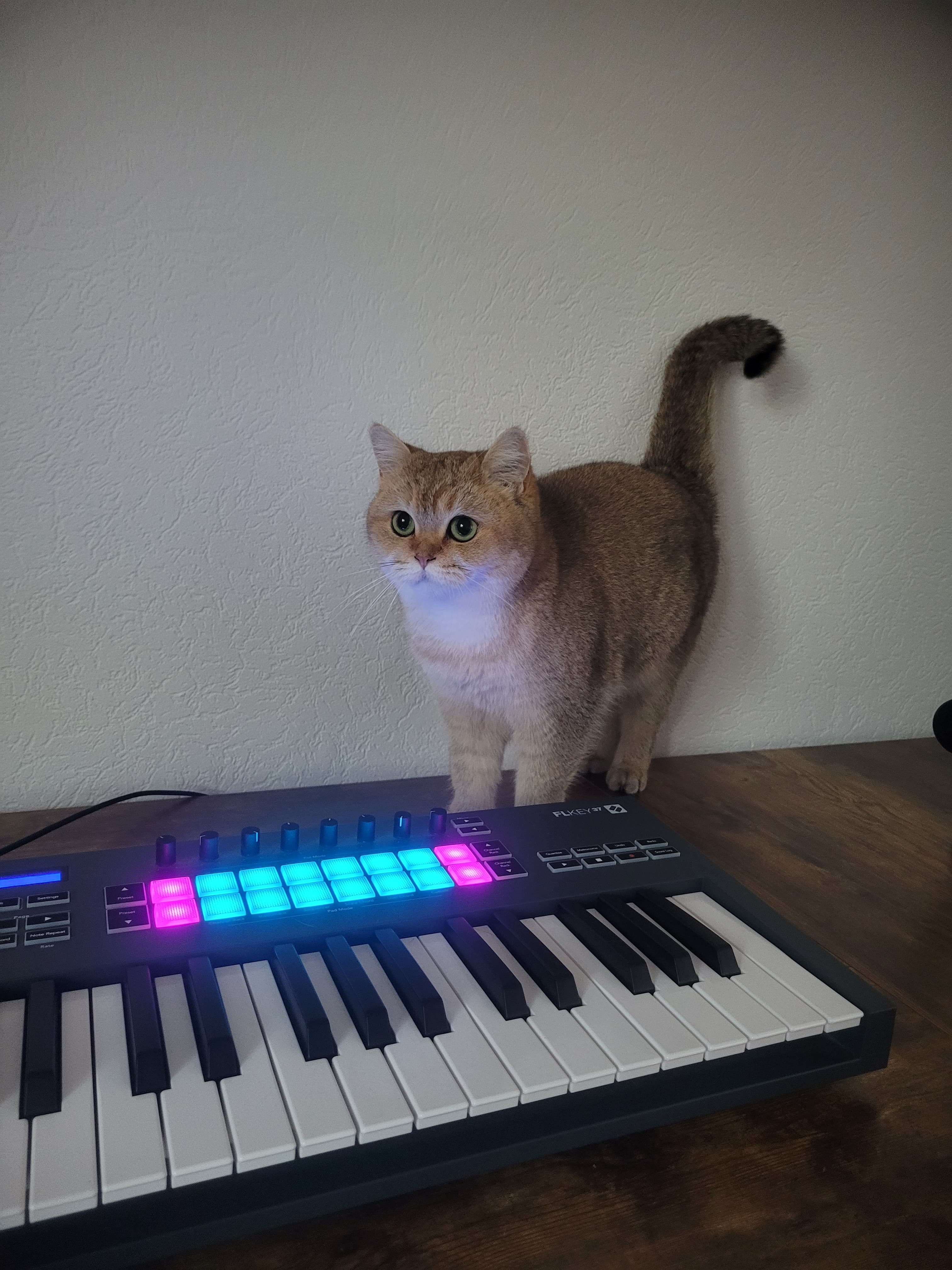 A personal moment from Dan Mill's life