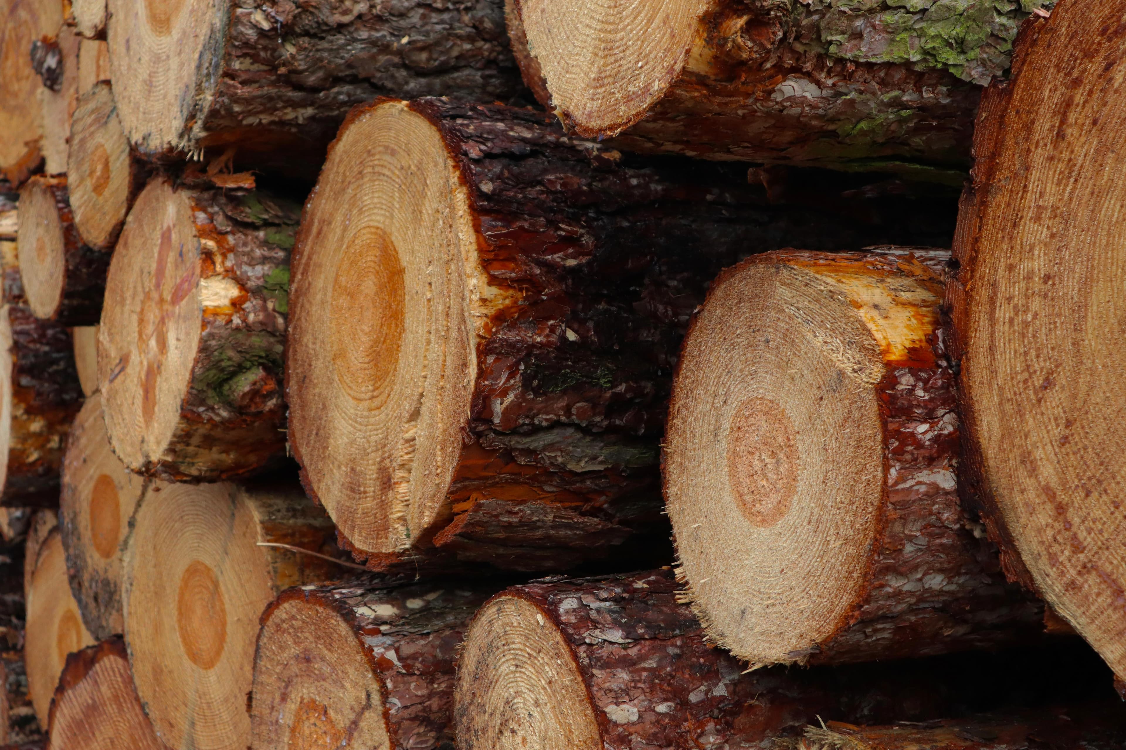 An everyday moment from Dan Mill's world