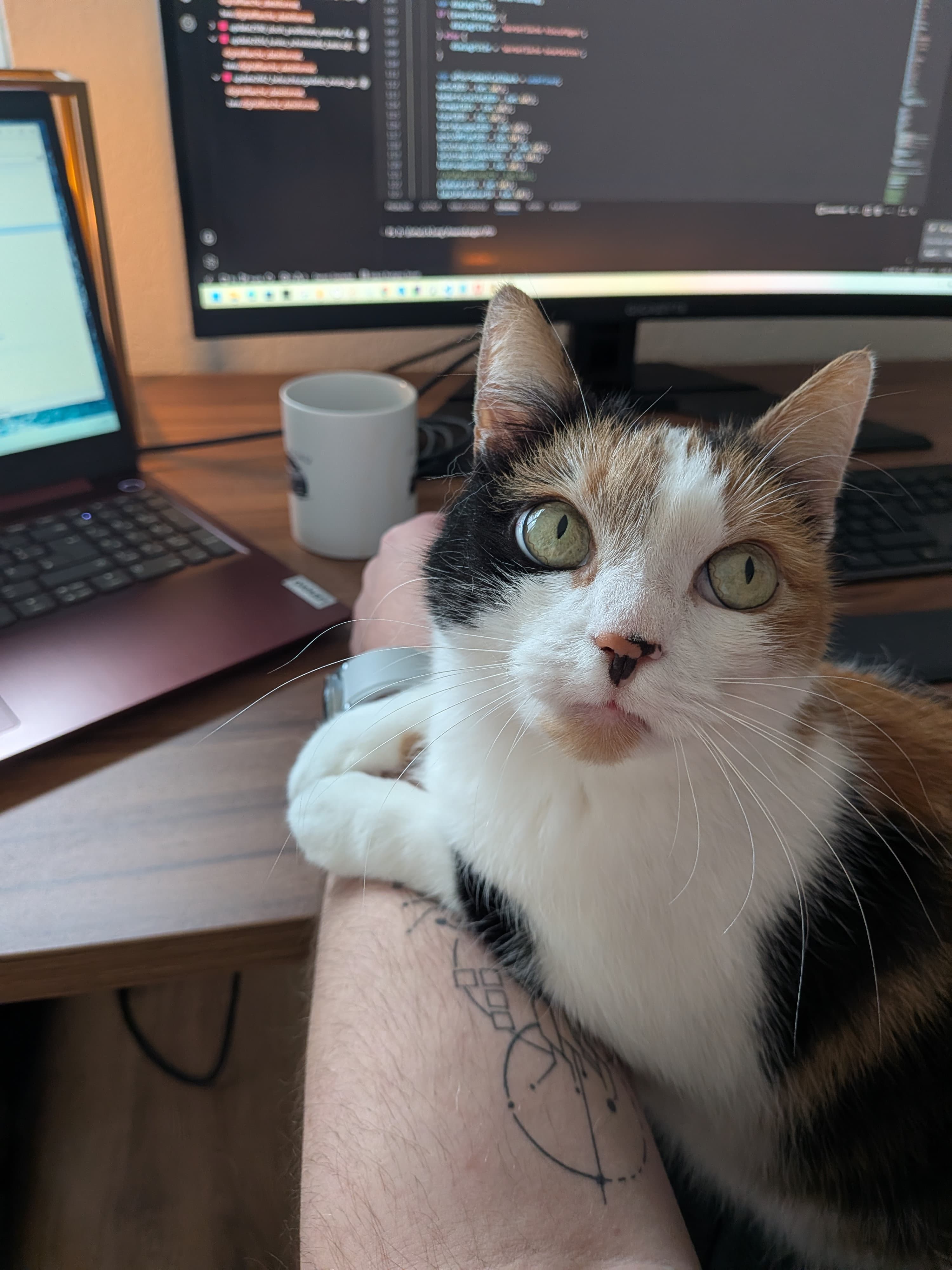 A quiet snapshot from Dan Mill's life